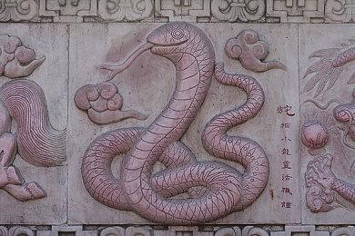 《狂野之心S》体验版发布！  正式版7月25日上线