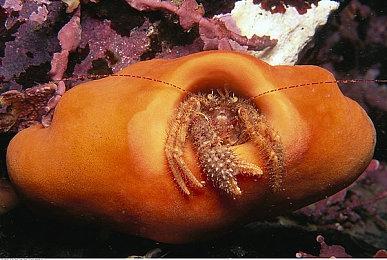 《AirportSim＆机场：模拟地勤》超真实机场模拟器——你的机场被我承包了