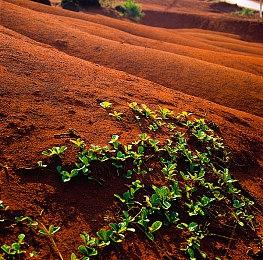 愿照九天——《王者荣耀》公布六款蛇年限定皮肤