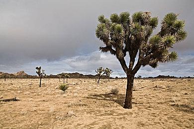 《最终幻想7：重生》创作者探讨剧情方面的改动力度